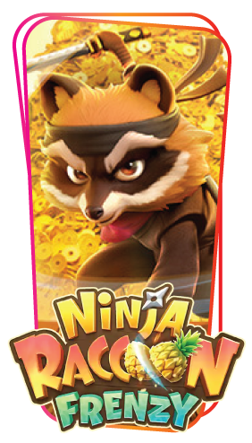 NInja Raccoon Frenzy